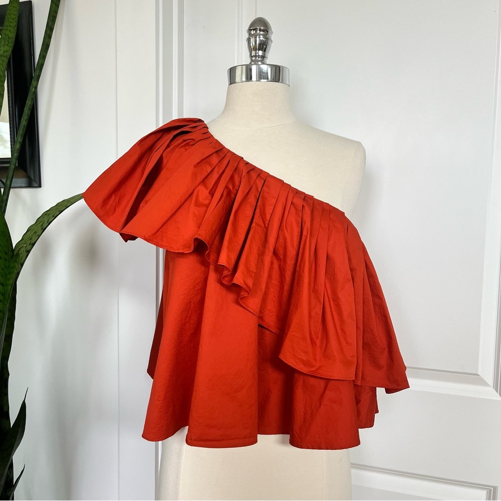 Ronny Kobo Ruffled One-Shoulder Top - Picture 3 of 8